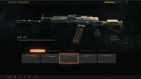 black ops 4 all weapons.